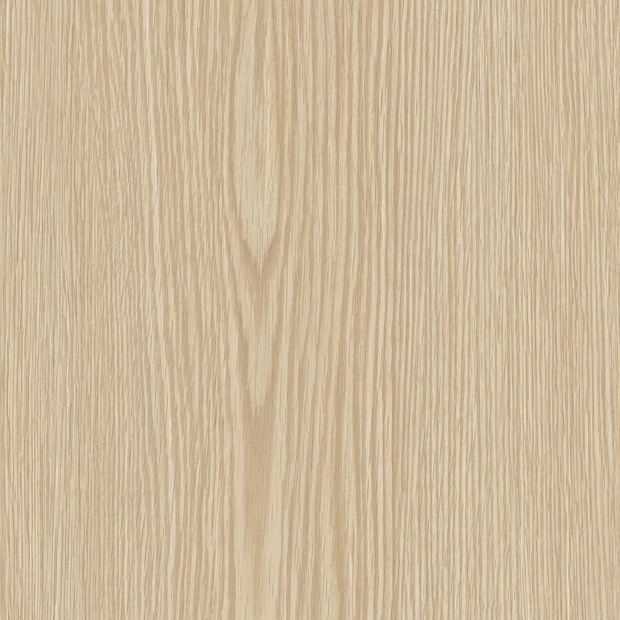 Cream Pine - AG20
